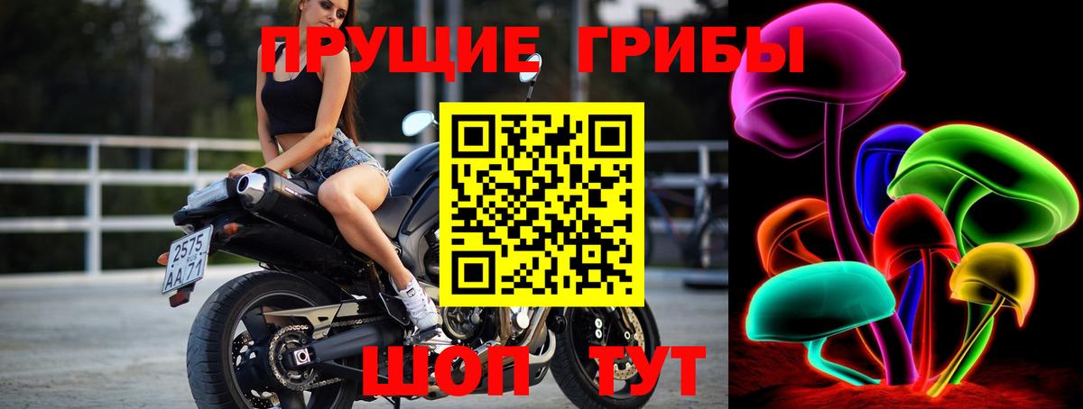 Кемерово  Псилоцибиновые грибы Psilocybine cubensis  наркотики  Вход с VPN 